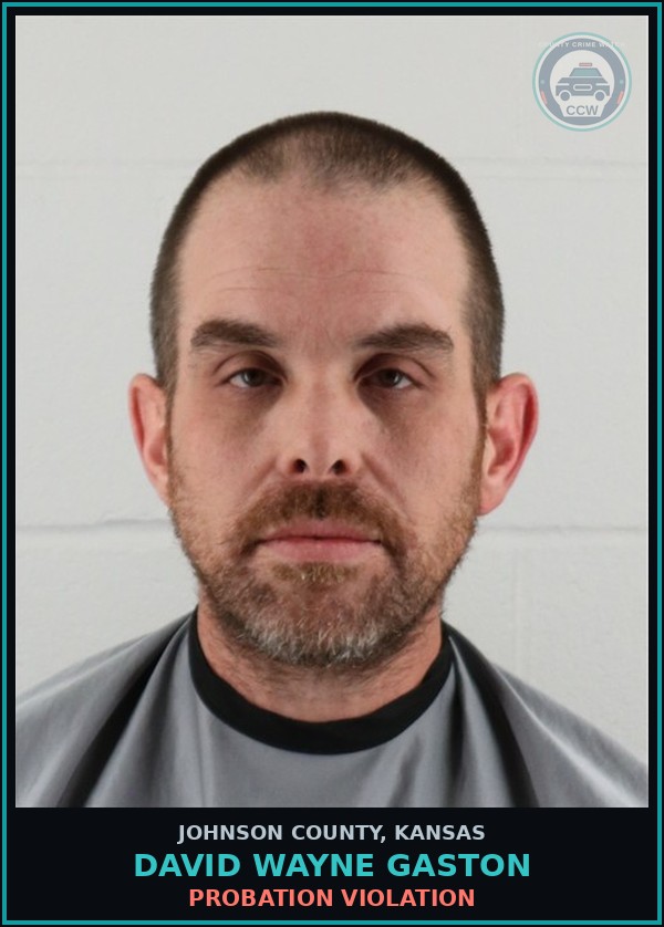 Booking mugshot of DAVID WAYNE GASTON in Johnson County