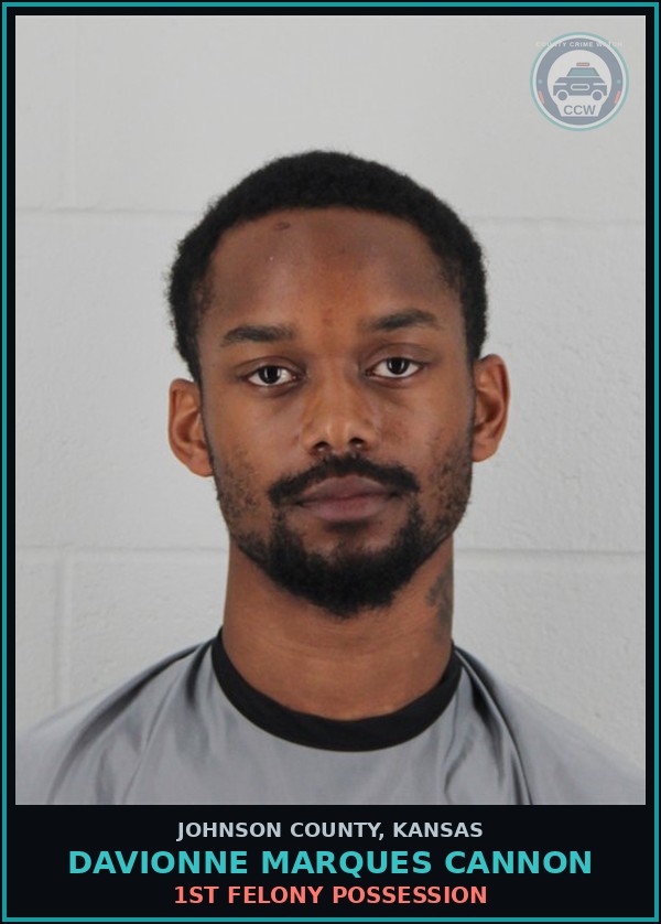 Booking mugshot of DAVIONNE MARQUES CANNON in Johnson County