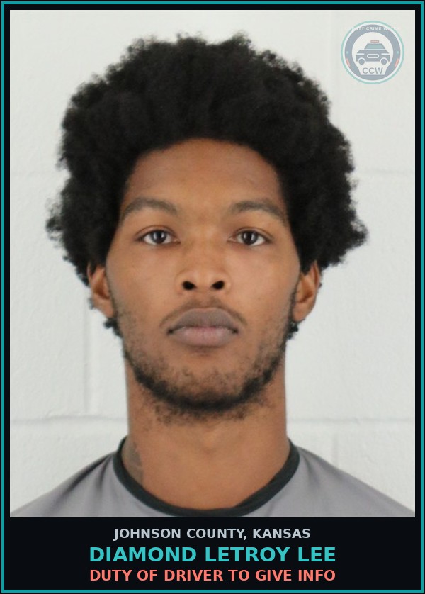 Booking mugshot of DIAMOND LETROY LEE in Johnson County