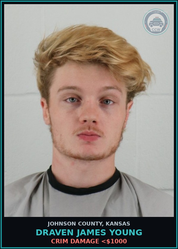 Booking mugshot of DRAVEN JAMES YOUNG in Johnson County