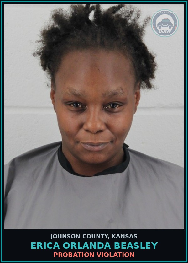 Booking mugshot of ERICA ORLANDA BEASLEY in Johnson County