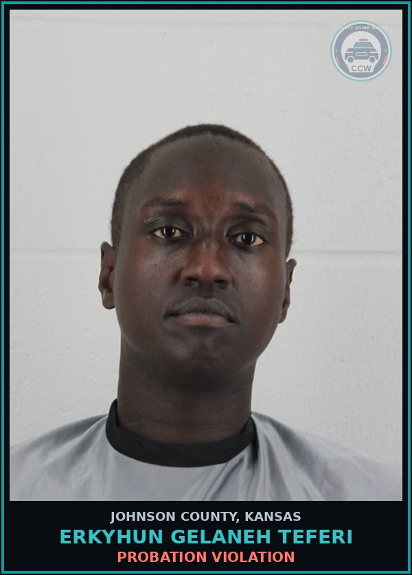 Booking mugshot of ERKYHUN GELANEH TEFERI in Johnson County