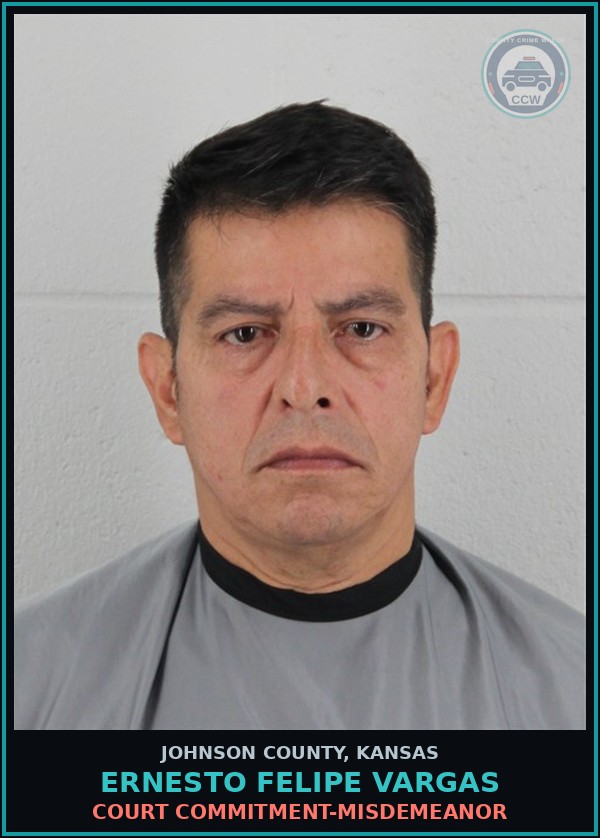 Booking mugshot of ERNESTO FELIPE VARGAS in Johnson County