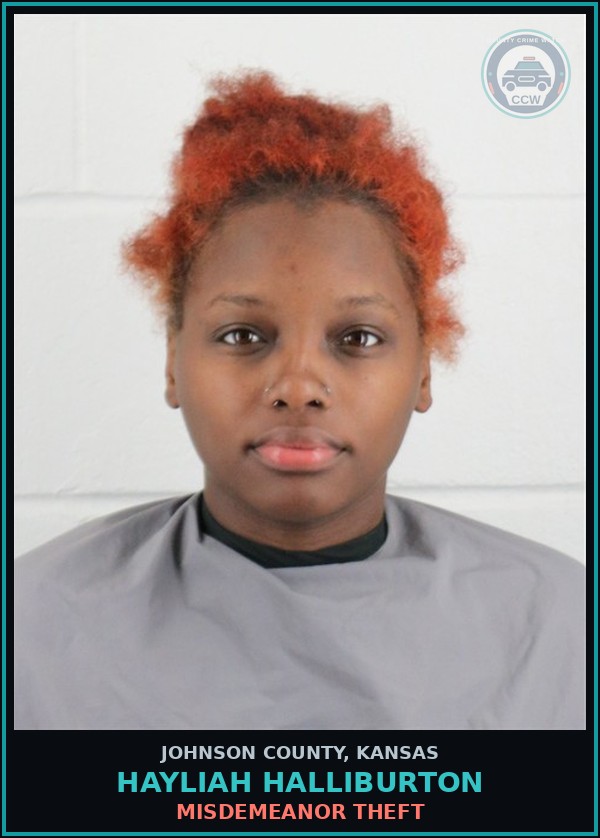 Booking mugshot of HAYLIAH HALLIBURTON in Johnson County