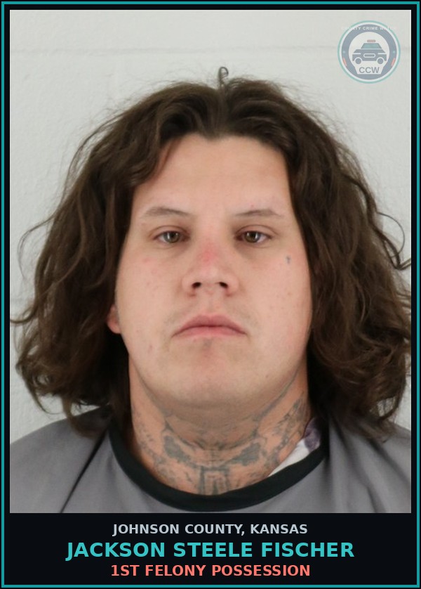 Booking mugshot of JACKSON STEELE FISCHER in Johnson County