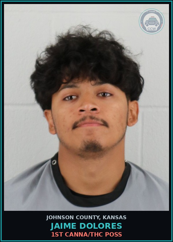 Booking mugshot of JAIME DOLORES in Johnson County