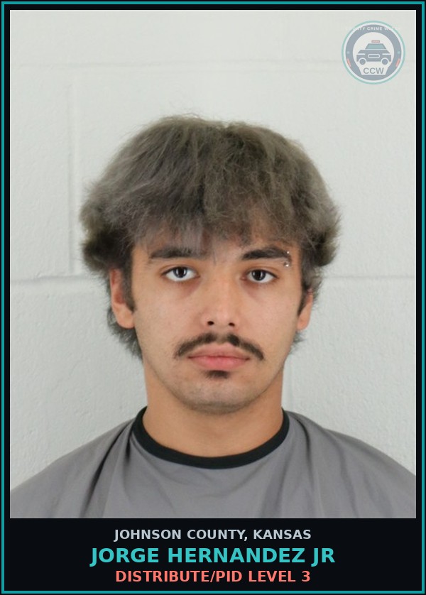 Booking mugshot of JORGE HERNANDEZ JR in Johnson County