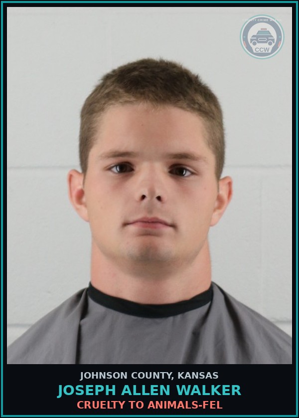 Booking mugshot of JOSEPH ALLEN WALKER in Johnson County