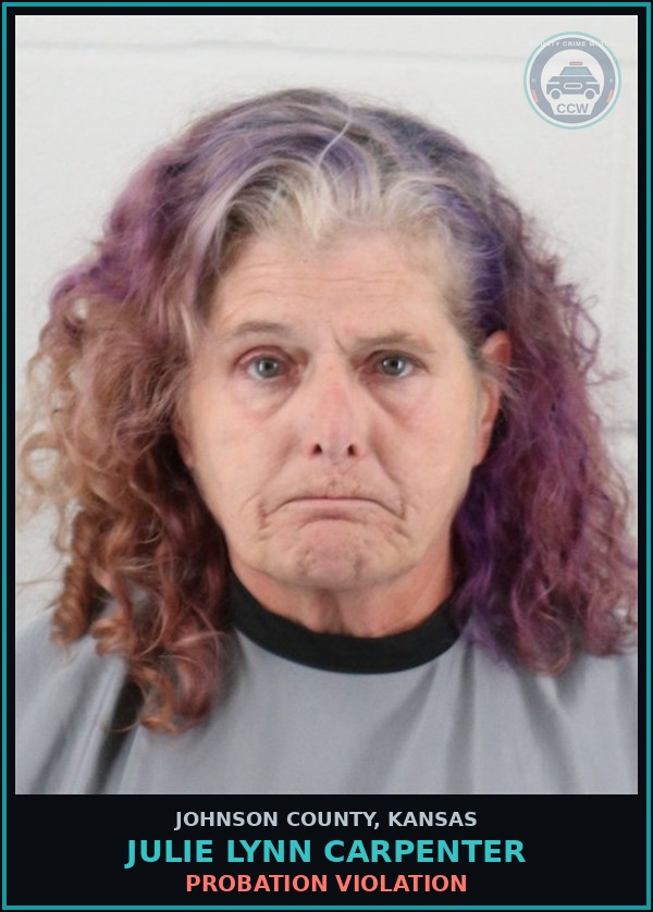 Booking mugshot of JULIE LYNN CARPENTER in Johnson County