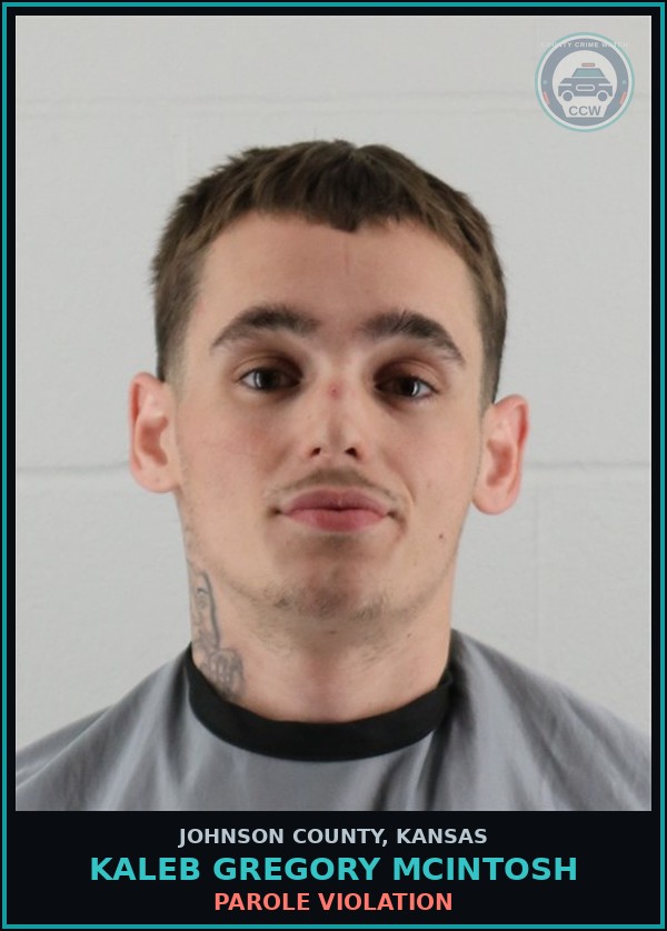 Booking mugshot of KALEB GREGORY MCINTOSH in Johnson County