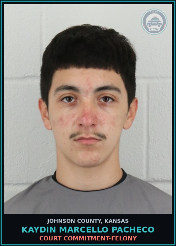 Booking mugshot of KAYDIN MARCELLO PACHECO in Johnson County