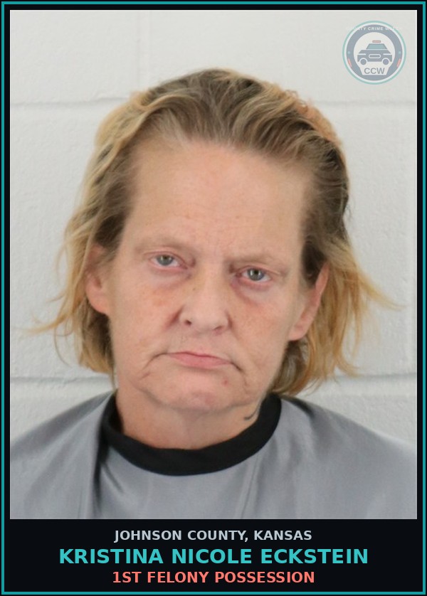 Booking mugshot of KRISTINA NICOLE ECKSTEIN in Johnson County