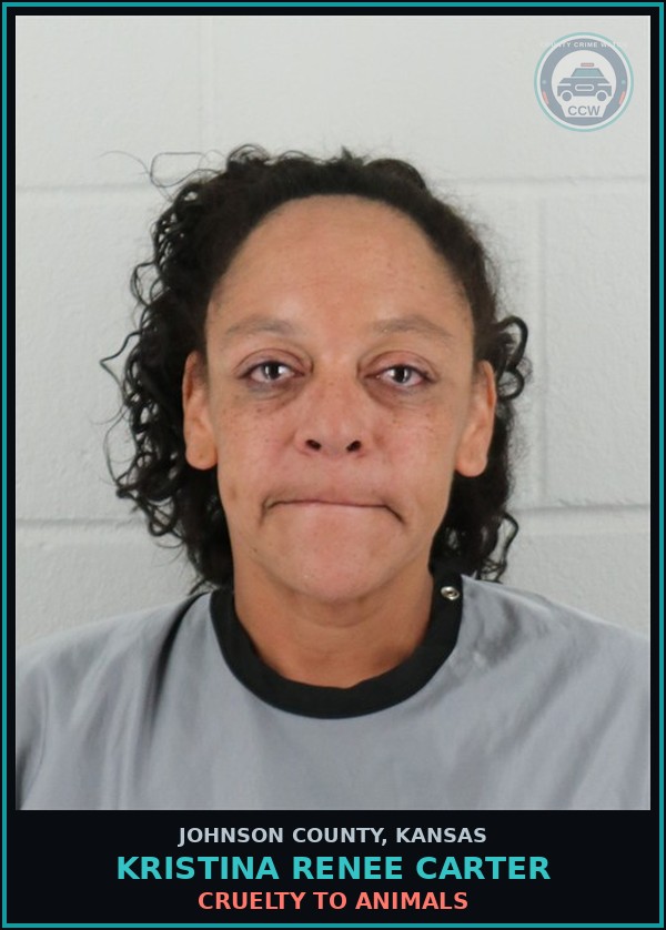 Booking mugshot of KRISTINA RENEE CARTER in Johnson County