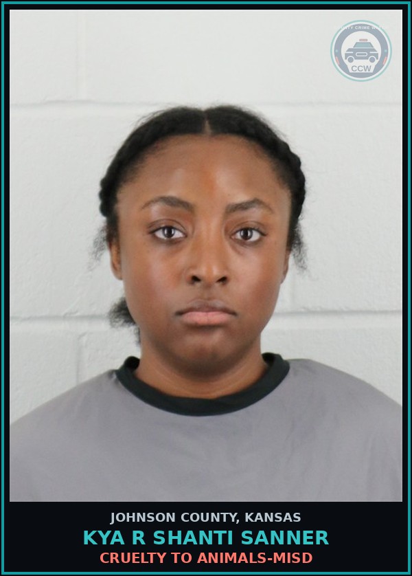 Booking mugshot of KYA R SHANTI SANNER in Johnson County