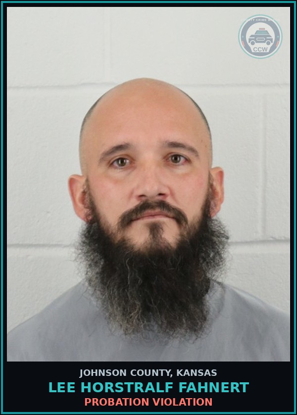 Booking mugshot of LEE HORSTRALF FAHNERT in Johnson County
