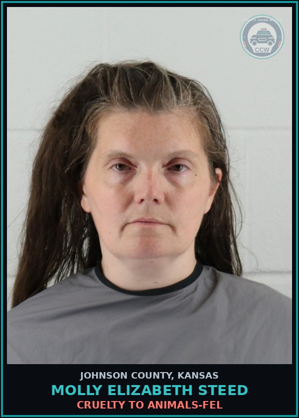 Booking mugshot of MOLLY ELIZABETH STEED in Johnson County