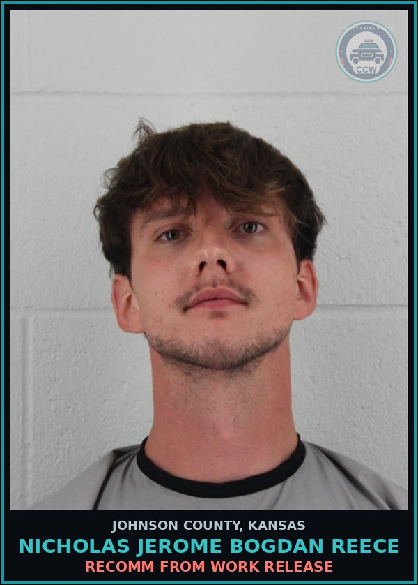 Booking mugshot of NICHOLAS JEROME BOGDAN REECE in Johnson County
