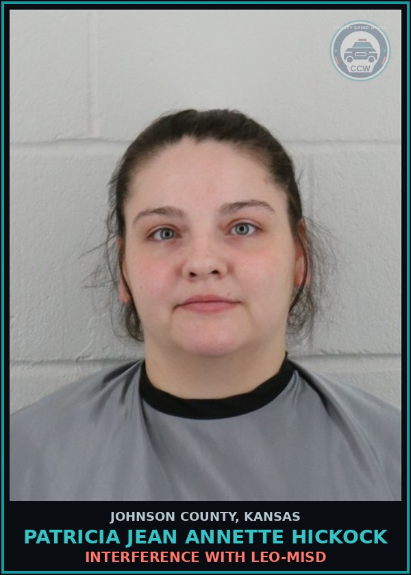 Booking mugshot of PATRICIA JEAN ANNETTE HICKOCK in Johnson County