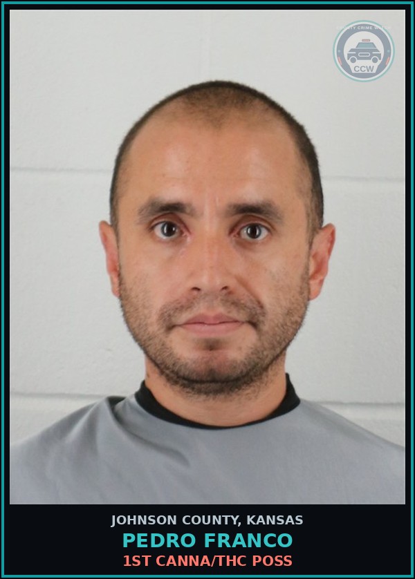 Booking mugshot of PEDRO FRANCO in Johnson County