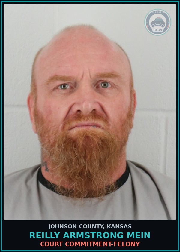Booking mugshot of REILLY ARMSTRONG MEIN in Johnson County