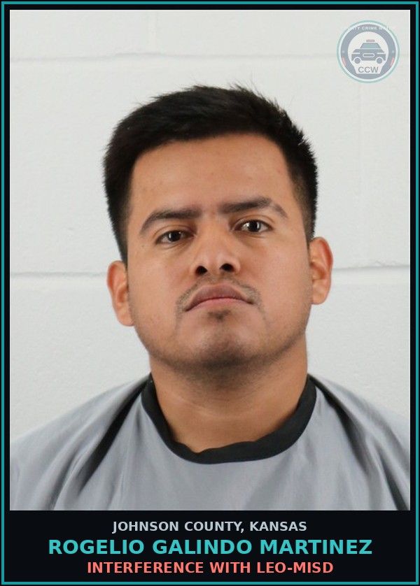 Booking mugshot of ROGELIO GALINDO MARTINEZ in Johnson County