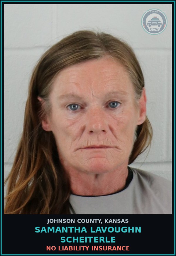 Booking mugshot of SAMANTHA LAVOUGHN SCHEITERLE in Johnson County