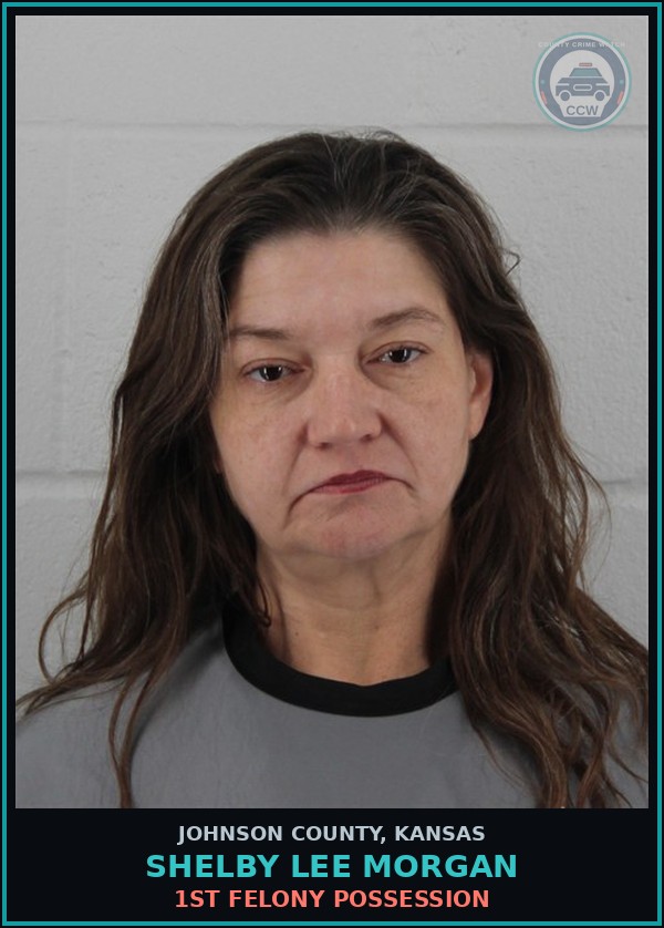 Booking mugshot of SHELBY LEE MORGAN in Johnson County