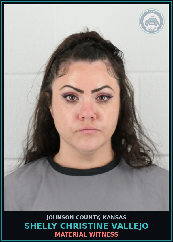 Booking mugshot of SHELLY CHRISTINE VALLEJO in Johnson County