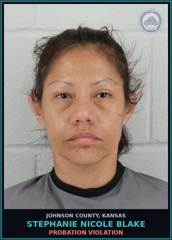 Booking mugshot of STEPHANIE NICOLE BLAKE in Johnson County