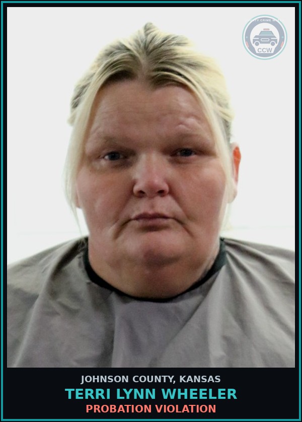 Booking mugshot of TERRI LYNN WHEELER in Johnson County