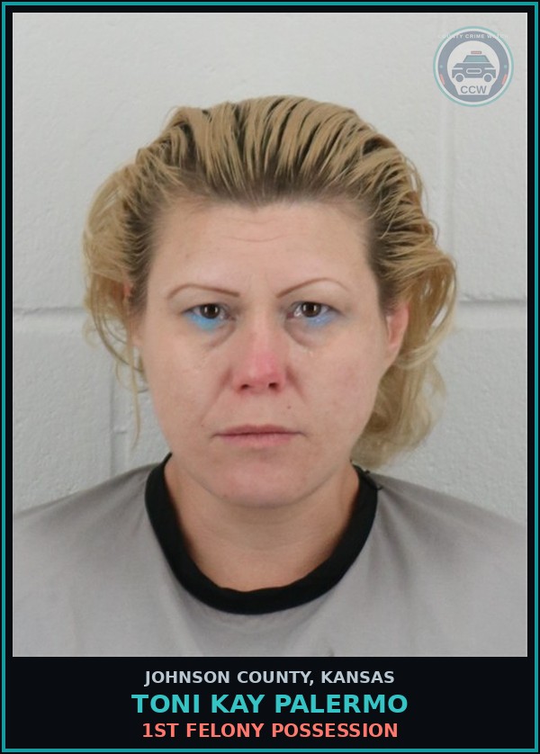 Booking mugshot of TONI KAY PALERMO in Johnson County