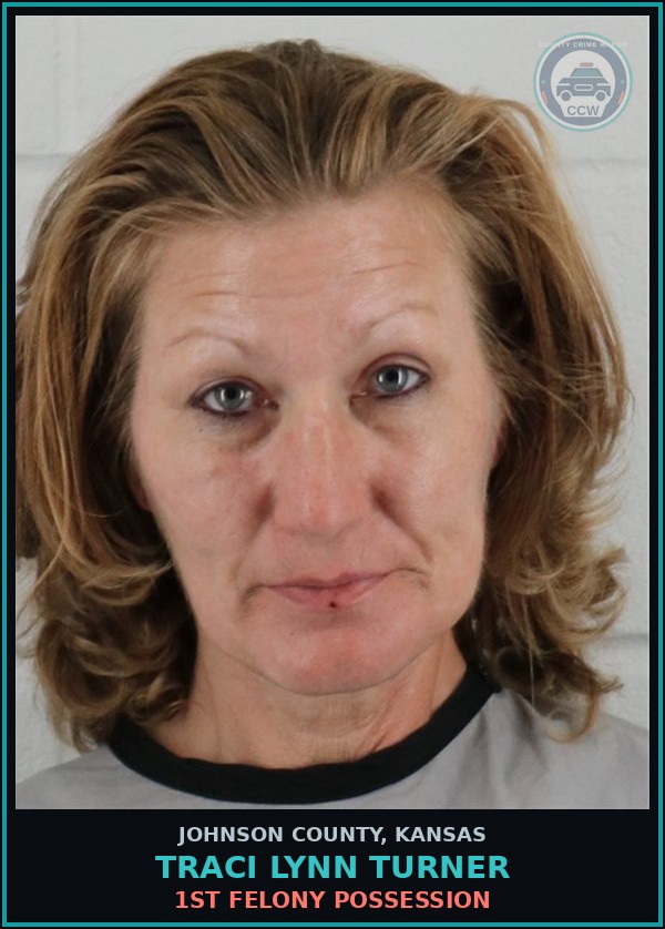 Booking mugshot of TRACI LYNN TURNER in Johnson County