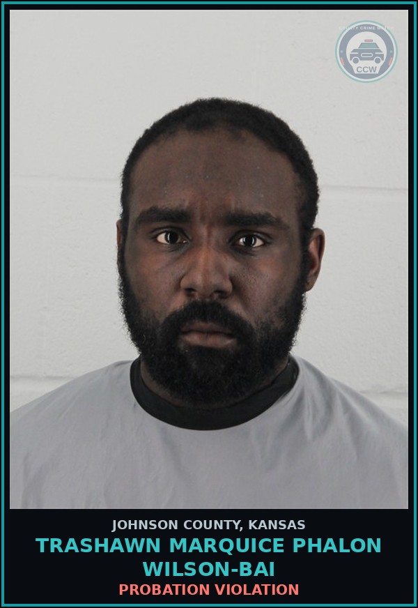 Booking mugshot of TRASHAWN MARQUICE PHALON WILSON-BAI in Johnson County