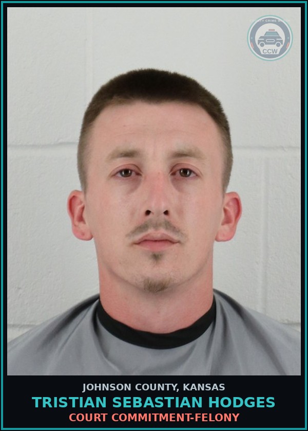 Booking mugshot of TRISTIAN SEBASTIAN HODGES in Johnson County