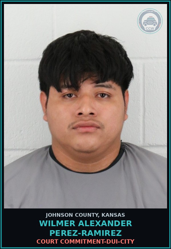 Booking mugshot of WILMER ALEXANDER PEREZ-RAMIREZ in Johnson County