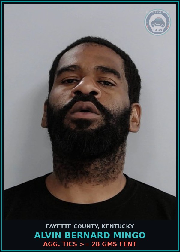 Booking mugshot of ALVIN BERNARD MINGO in Fayette County