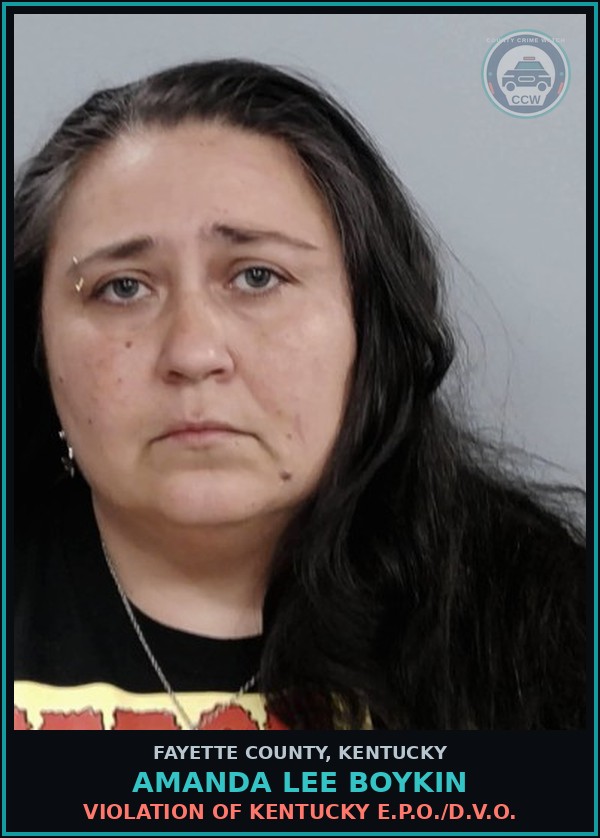 Booking mugshot of AMANDA LEE BOYKIN in Fayette County