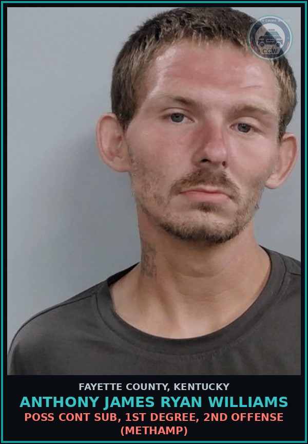 Booking mugshot of ANTHONY JAMES RYAN WILLIAMS in Fayette County