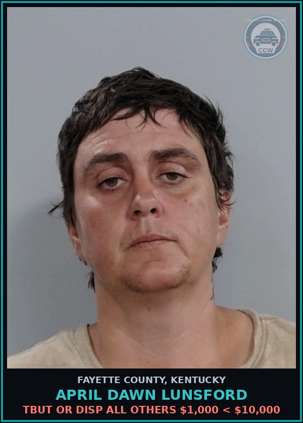 Booking mugshot of APRIL DAWN LUNSFORD in Fayette County