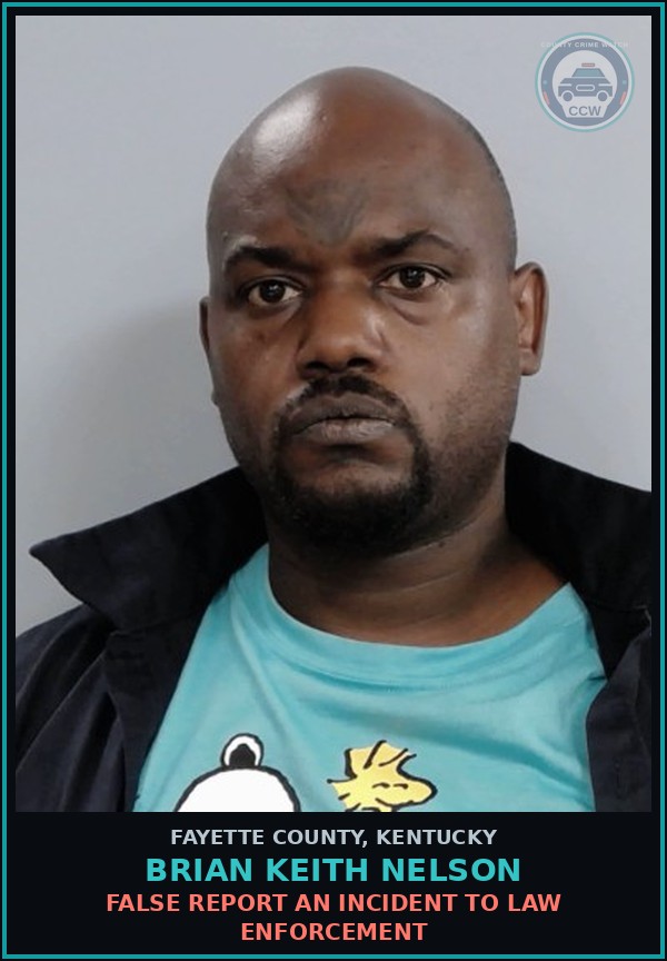 Booking mugshot of BRIAN KEITH NELSON in Fayette County