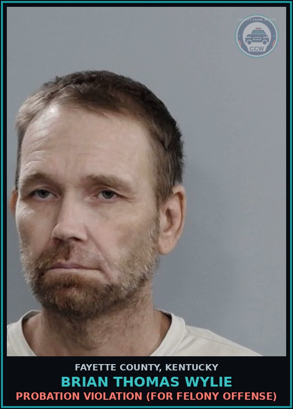 Booking mugshot of BRIAN THOMAS WYLIE in Fayette County