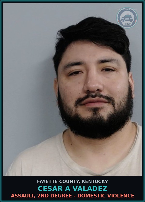 Booking mugshot of CESAR A VALADEZ in Fayette County