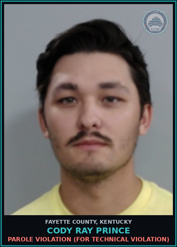 Booking mugshot of CODY RAY PRINCE in Fayette County