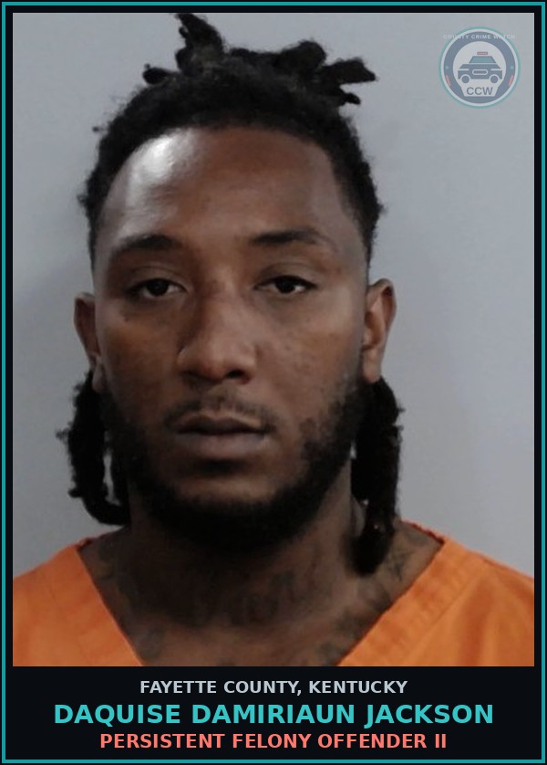 Booking mugshot of DAQUISE DAMIRIAUN JACKSON in Fayette County