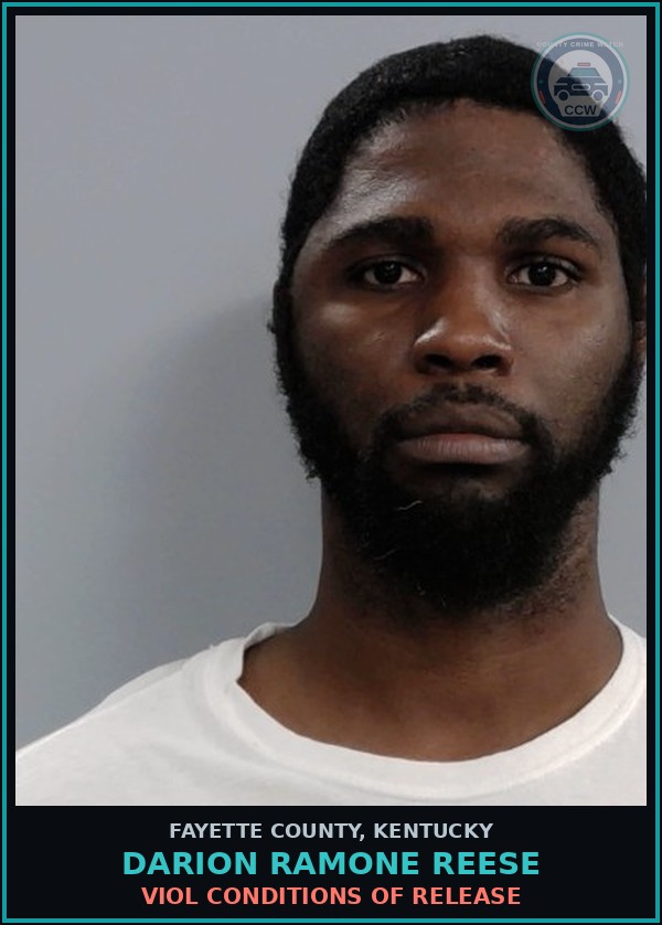 Booking mugshot of DARION RAMONE REESE in Fayette County