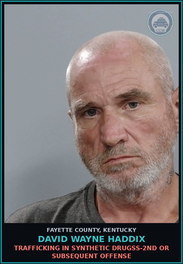 Booking mugshot of DAVID WAYNE HADDIX in Fayette County