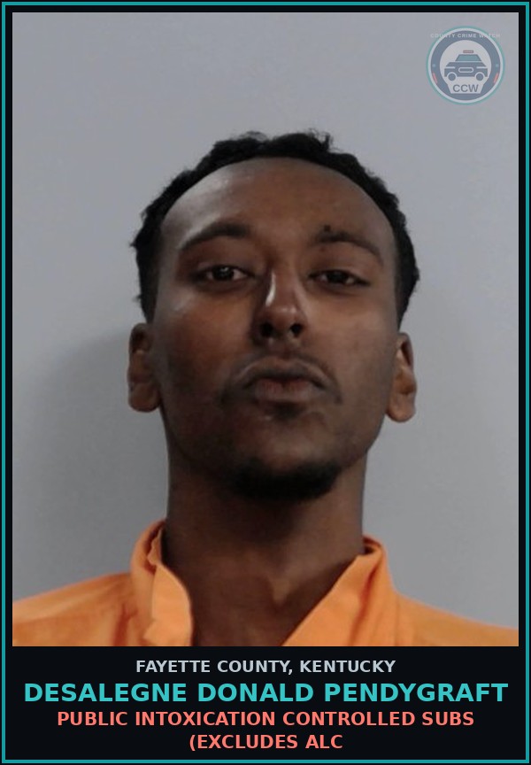 Booking mugshot of DESALEGNE DONALD PENDYGRAFT in Fayette County
