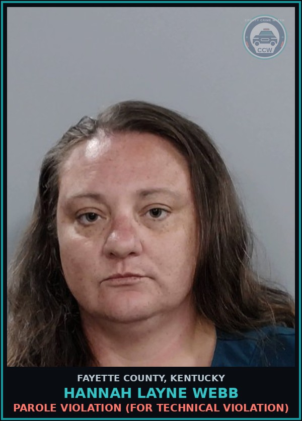 Booking mugshot of HANNAH LAYNE WEBB in Fayette County