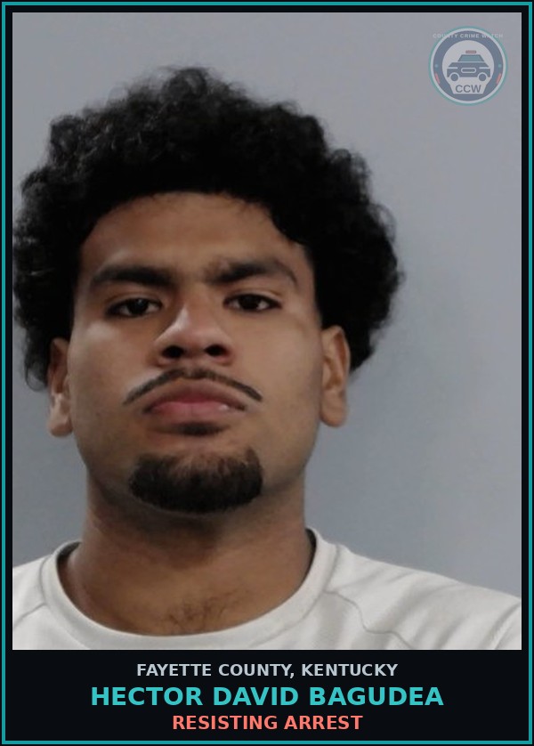 Booking mugshot of HECTOR DAVID BAGUDEA in Fayette County
