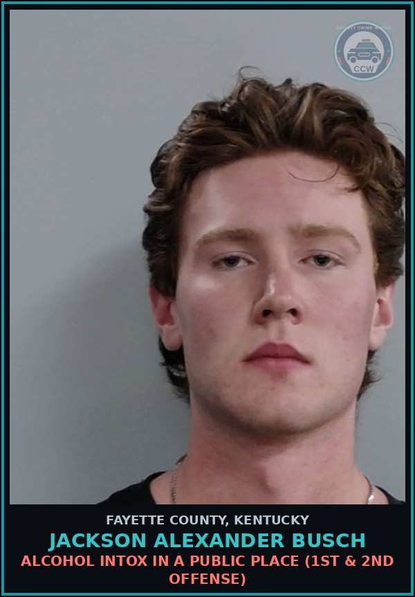 Booking mugshot of JACKSON ALEXANDER BUSCH in Fayette County